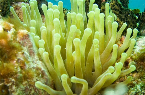 Photo by Sean Ferguson