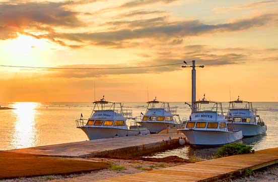 Caribbean Explorer II